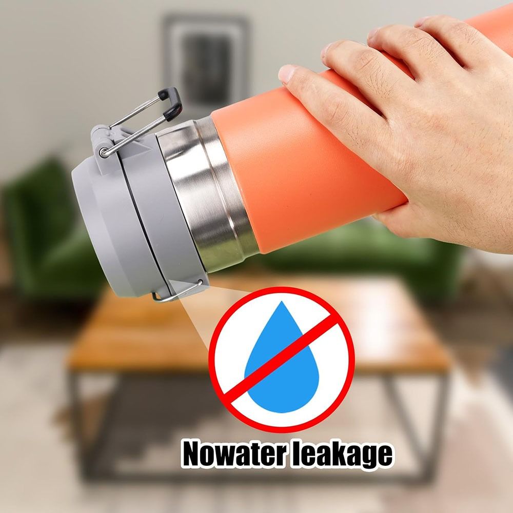 Prevent Leaks Water Bottle Gas - Hand Plane Stanley recensione e prezzo